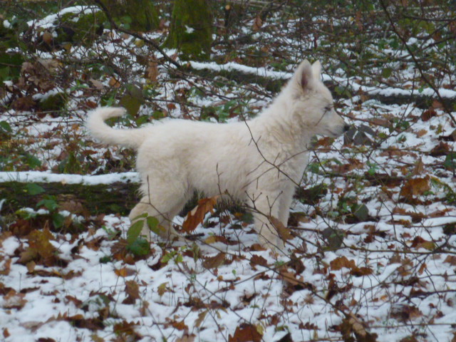 trop bien la neige!