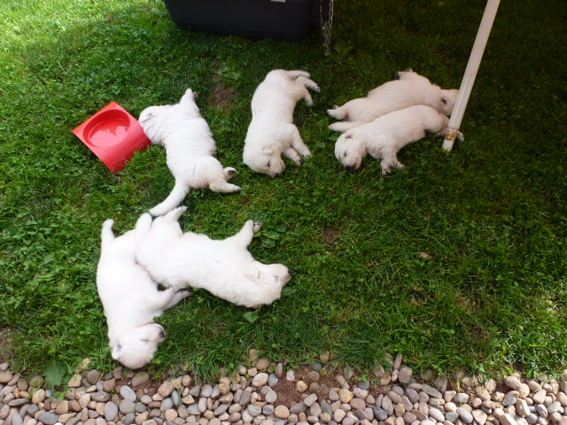 sieste sous le parasol