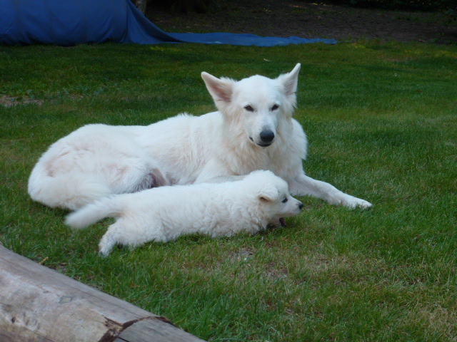 avec maman